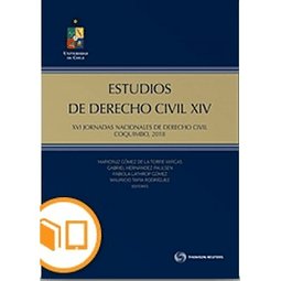 Estudios De Derecho Civil Xiv