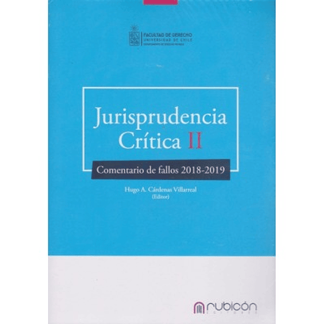Jurisprudencia Crítica Ii