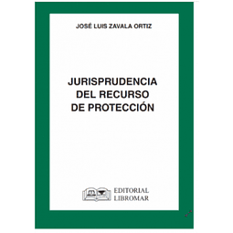 Jurisprudencia Recurso De Protección