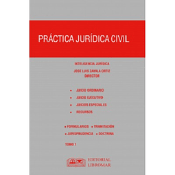 Práctica Jurídica Civil 2t