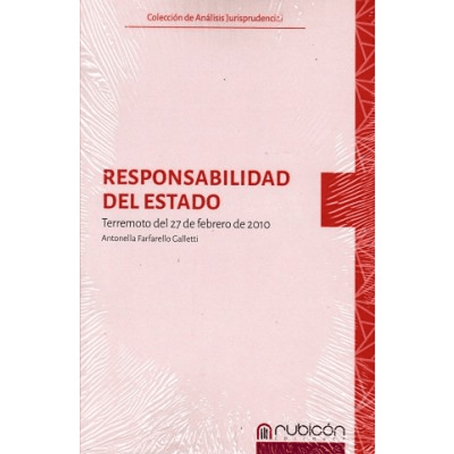 Responsabilidad Del Estado. Terremoto Del 27 De febrero De 2010.