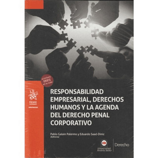 Responsabilidad Empresarial, Derechos Humanos Y La Agenda Del Derecho Penal