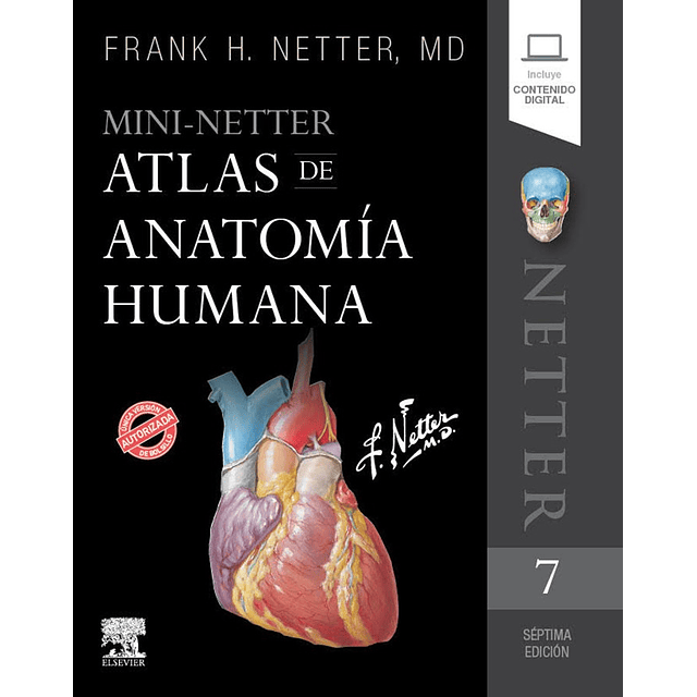 Mini-netter Atlas de Anatomía Humana