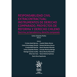 Responsabilidad civil extracontractual: instrumentos de derecho comparado,proyectos de reforma y derecho chileno.
