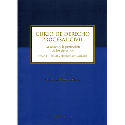 Curso de Derecho Procesal Civil Tomo I.  La acción y la protección de los derechos 
