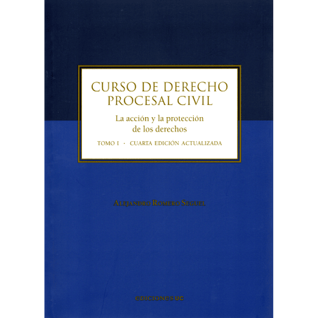 Curso de Derecho Procesal Civil Tomo I.  La acción y la protección de los derechos 