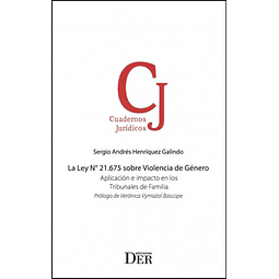 La Ley N°21.675 sobre violencia de género. Aplicación e impacto en los tribunales de familia.