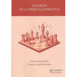 Ley Karin. De la teoría a la práctca.