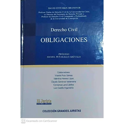 Derecho Civil. Obligaciones