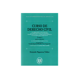Derecho Civil. Tomo I. El derecho y sus fuentes. El derecho civil en general. Teoría de la ley