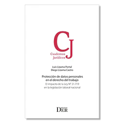 Protección de datos personales en el derecho del trabajo. El impacto de la Ley N° 21.719 en la legislación laboral nacional