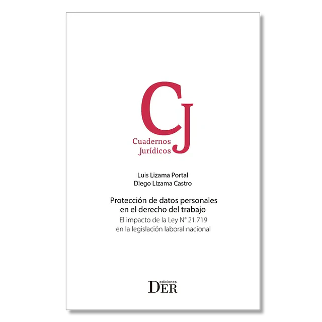 Protección de datos personales en el derecho del trabajo. El impacto de la Ley N° 21.719 en la legislación laboral nacional