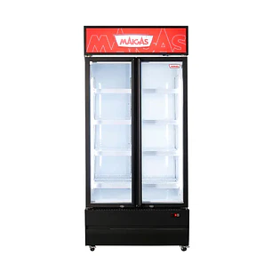 Visicooler LG600 2 Puertas Maigas