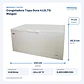 Congeladora Tapa Dura 412LTS Maigas - Miniatura 2