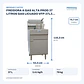FREIDORA A GAS ALTA PROD 37 LITROS GAS LICUADO VFP-37L3 VENTUS - Miniatura 2