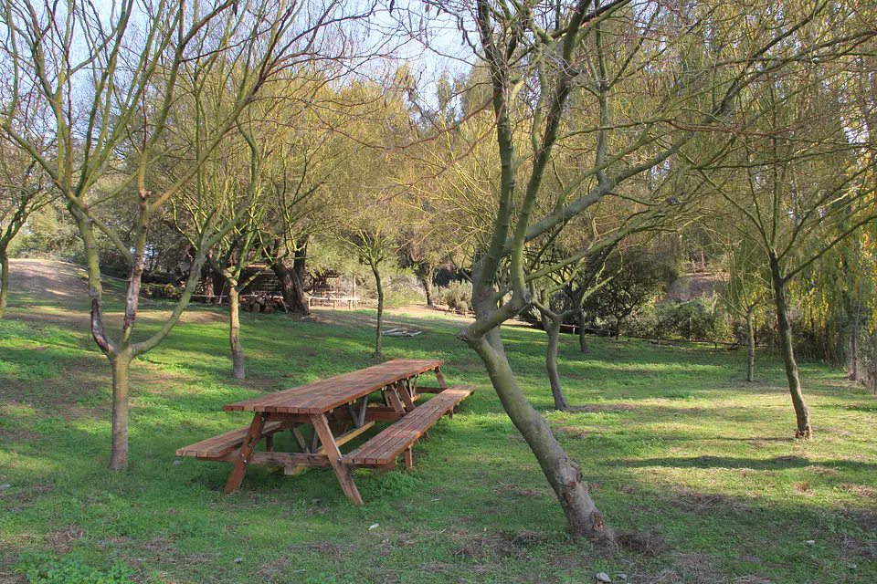 Rinconada del Lago 7