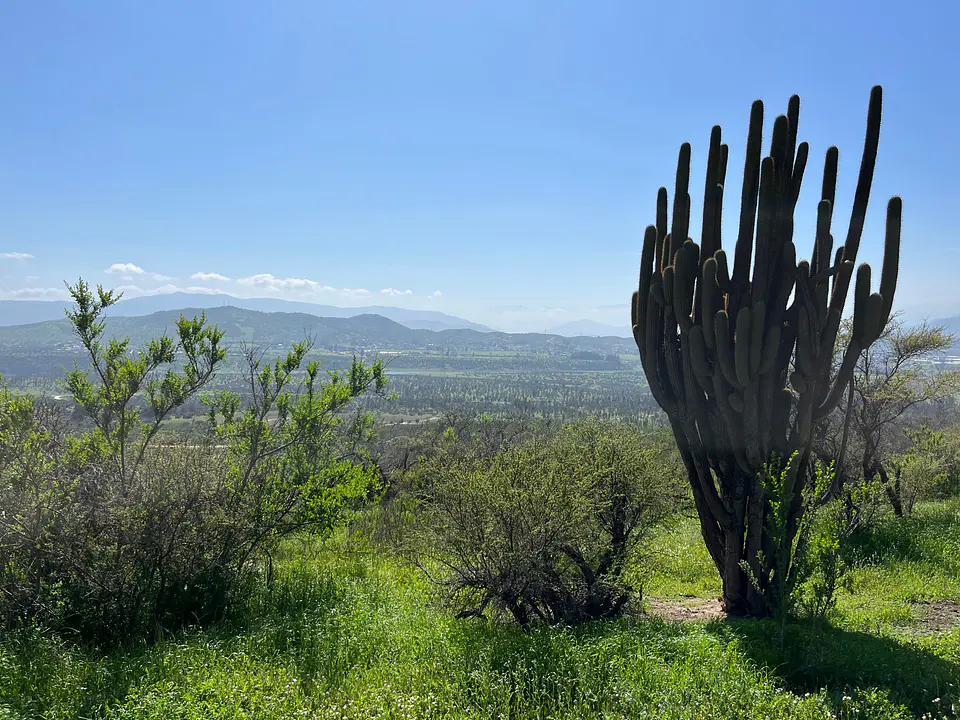 Valle Nativo 1