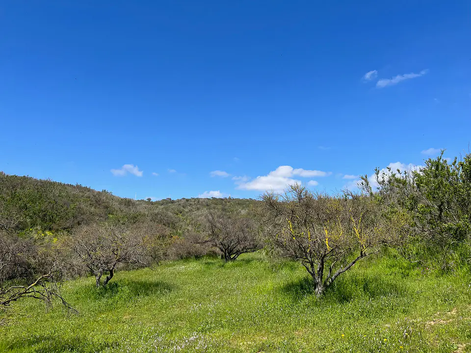 Valle Nativo 2