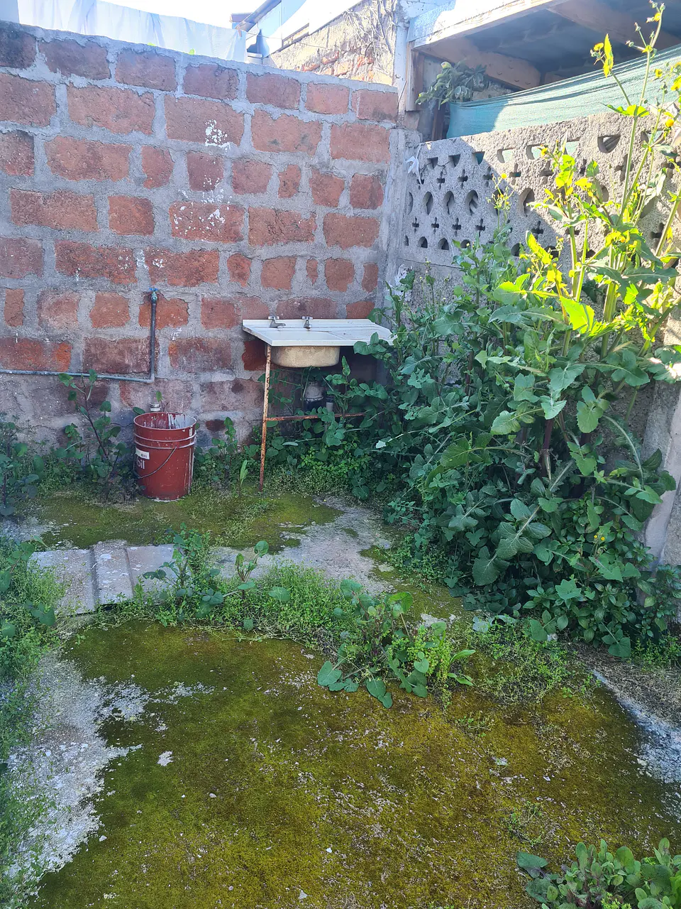 CASA PSJE GRAFITO 1476COMUNA DE LA FLORIDA. 12