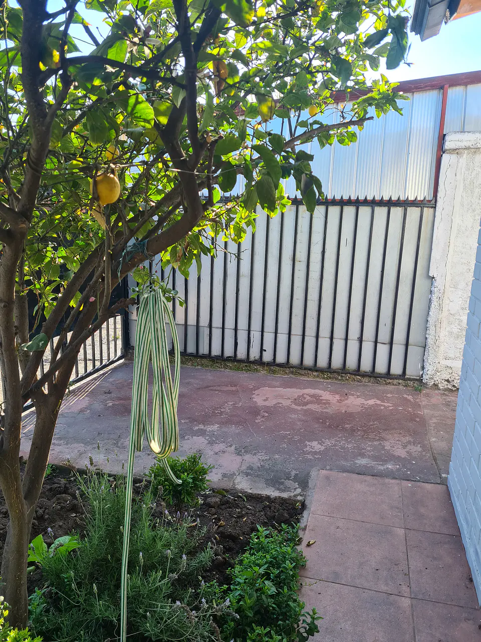 CASA PSJE GRAFITO 1476COMUNA DE LA FLORIDA. 14