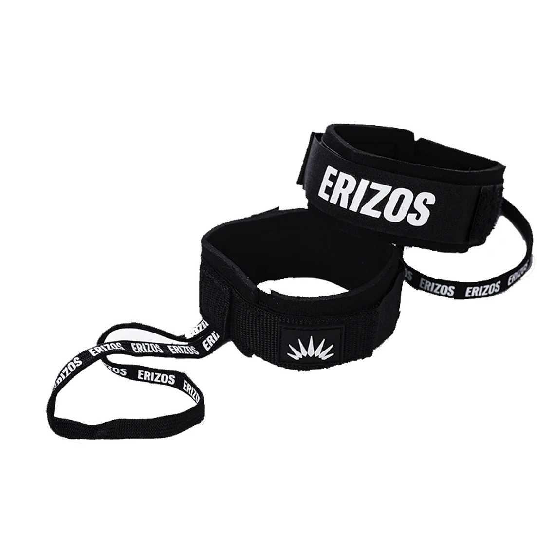 Aseguradores de aleta Erizos 1