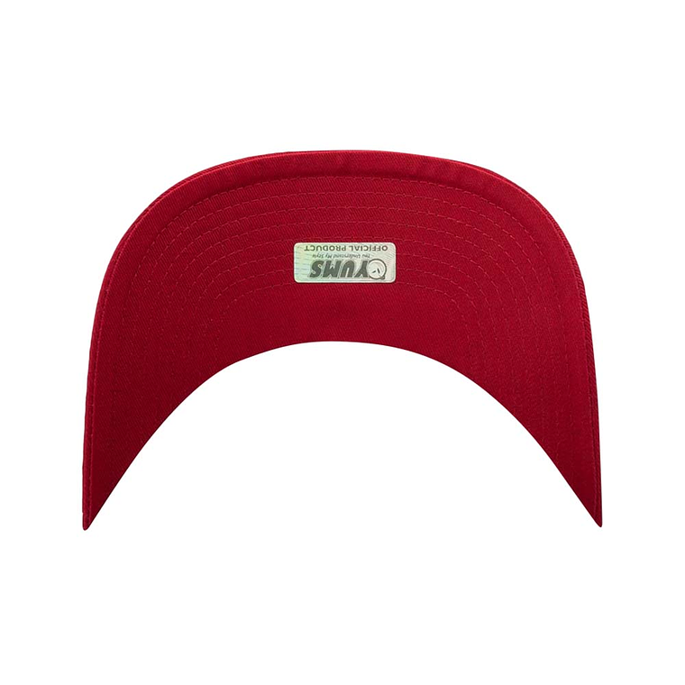 Jockey Snapback Visera Curva Snow Cone Yums 3