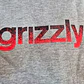  Hoodie Hombre Grizzly Griptape Lowercase Fadeaway Gris - Miniatura 2