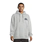 Polerón Quiksilver Every Day Hoodie - Miniatura 1