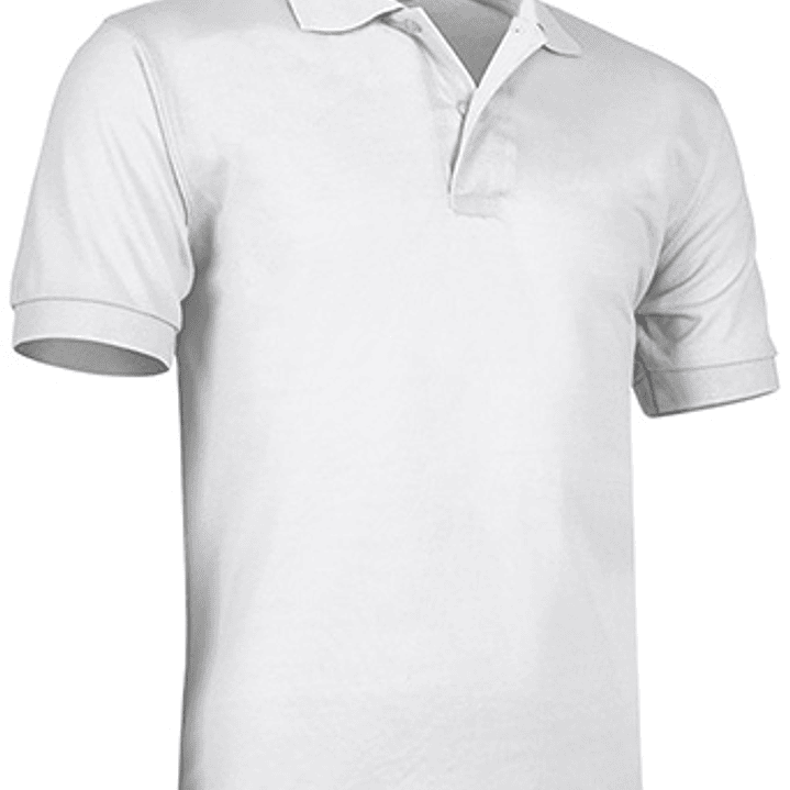 Polo de Manga Curta  2