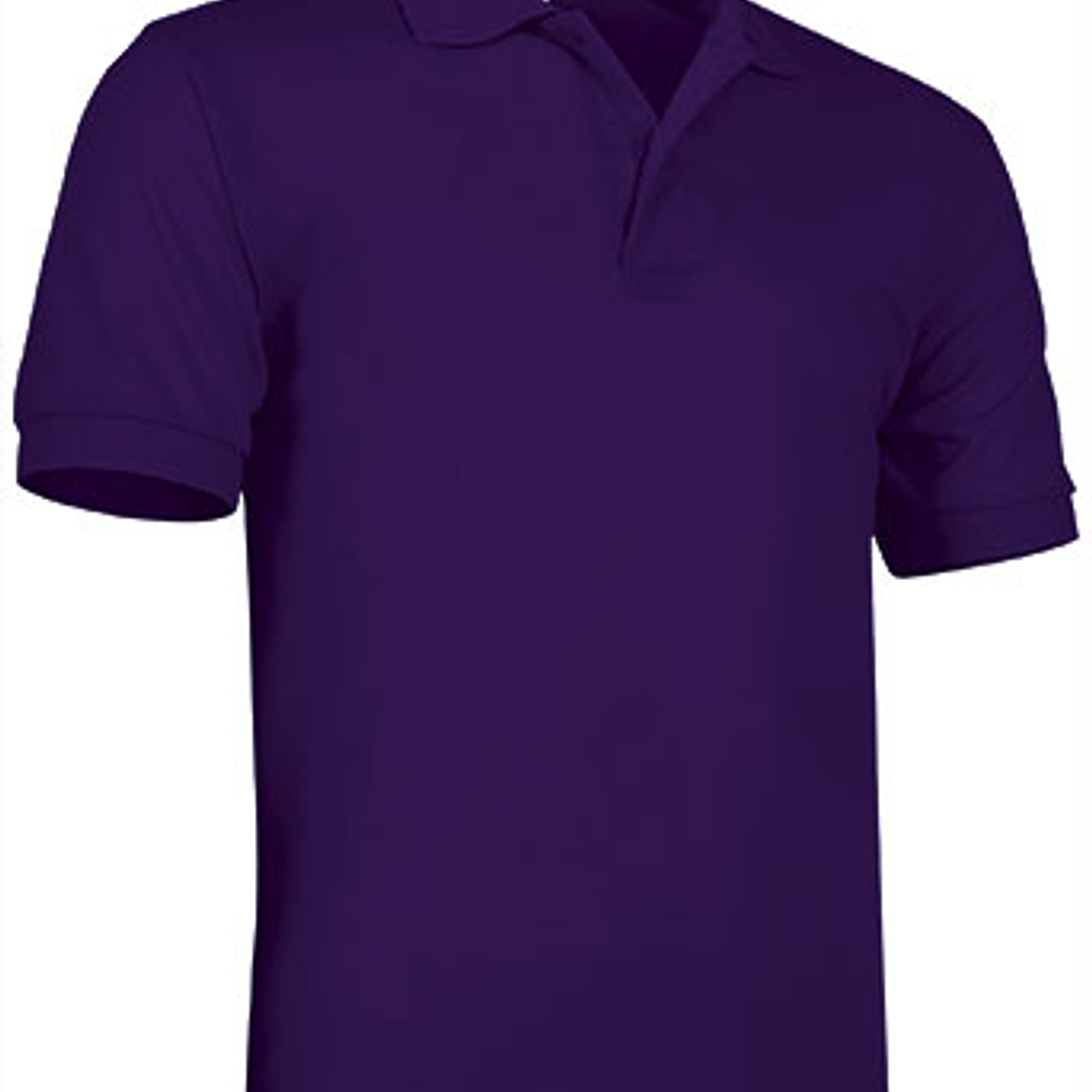 Polo de Manga Curta  3