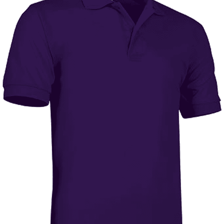 Polo de Manga Curta  3