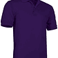 Polo de Manga Curta  - Thumbnail 3