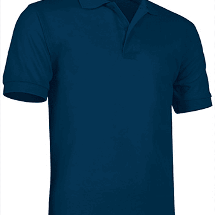 Polo de Manga Curta  10