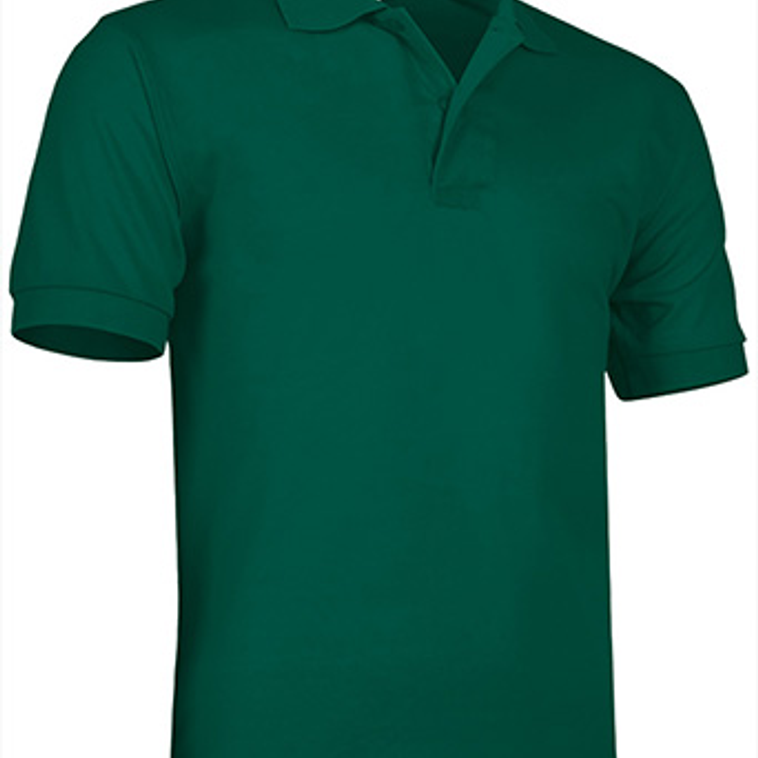 Polo de Manga Curta  11