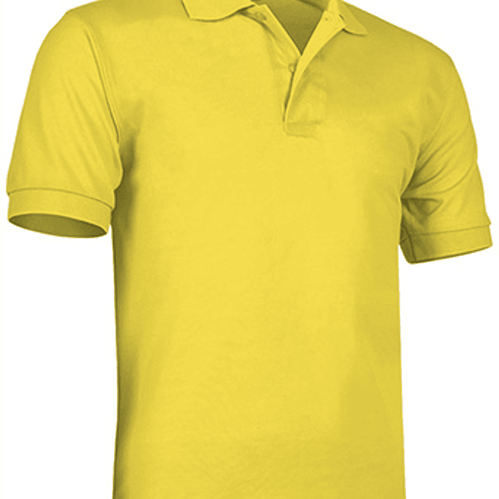 Polo de Manga Curta  12