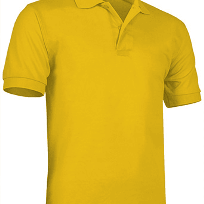 Polo de Manga Curta  13