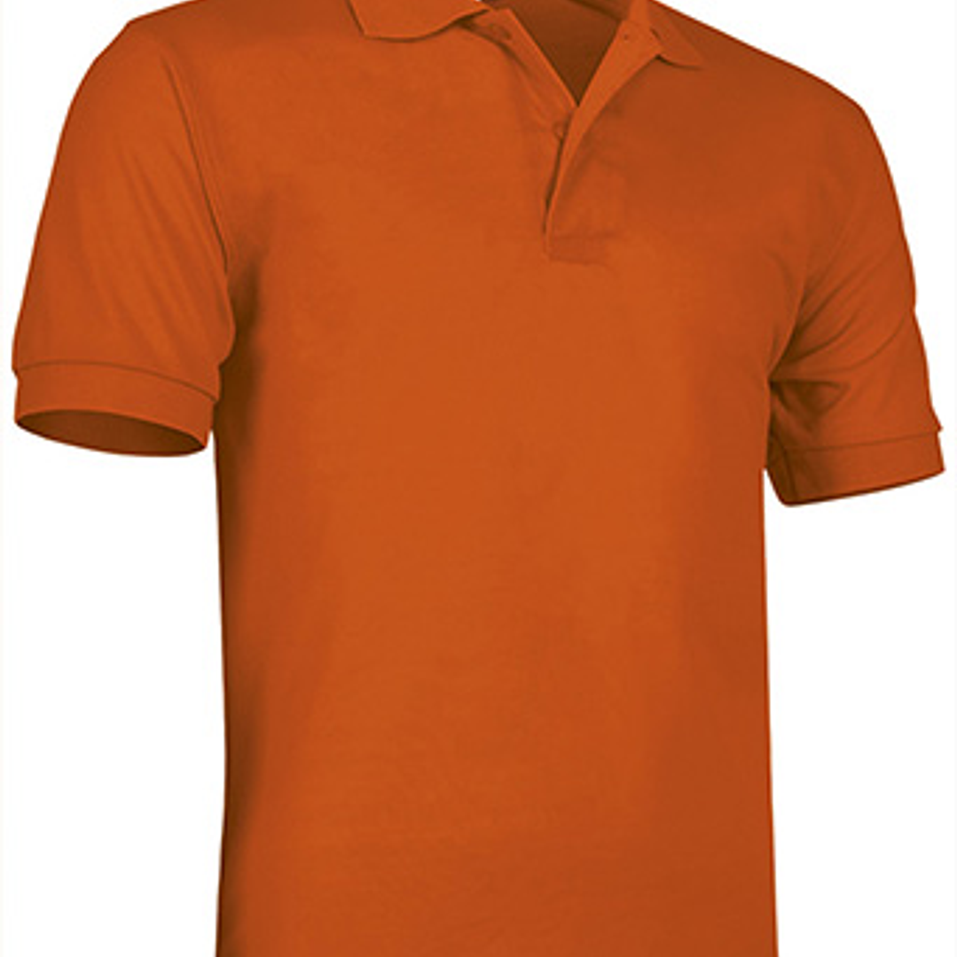 Polo de Manga Curta  17