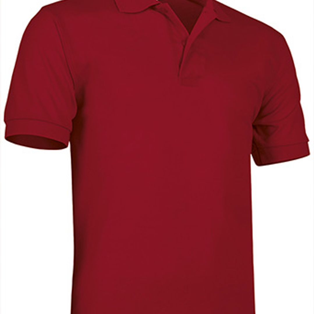 Polo de Manga Curta  19