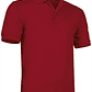 Polo de Manga Curta  - Thumbnail 19