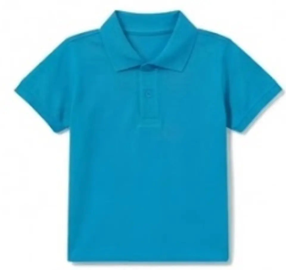 POLERA PIQUE VARÓN MANGA CORTA 2