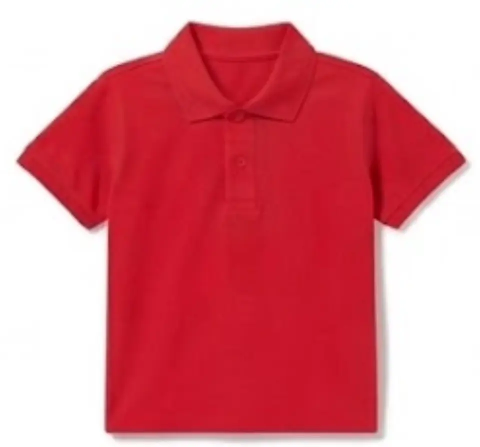 POLERA PIQUE VARÓN MANGA CORTA 16