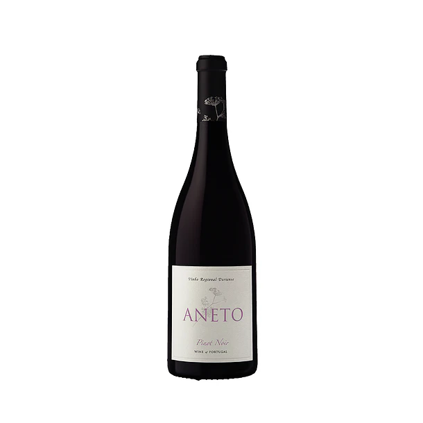 Aneto Pinot Noir