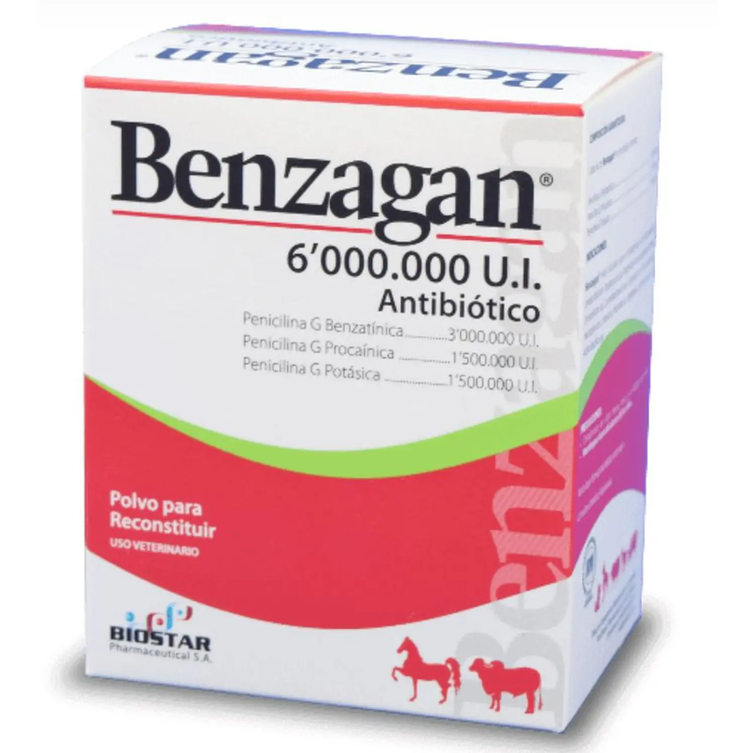 Benzagan Antibiotico Bovinos Equinos 6 M.U.I