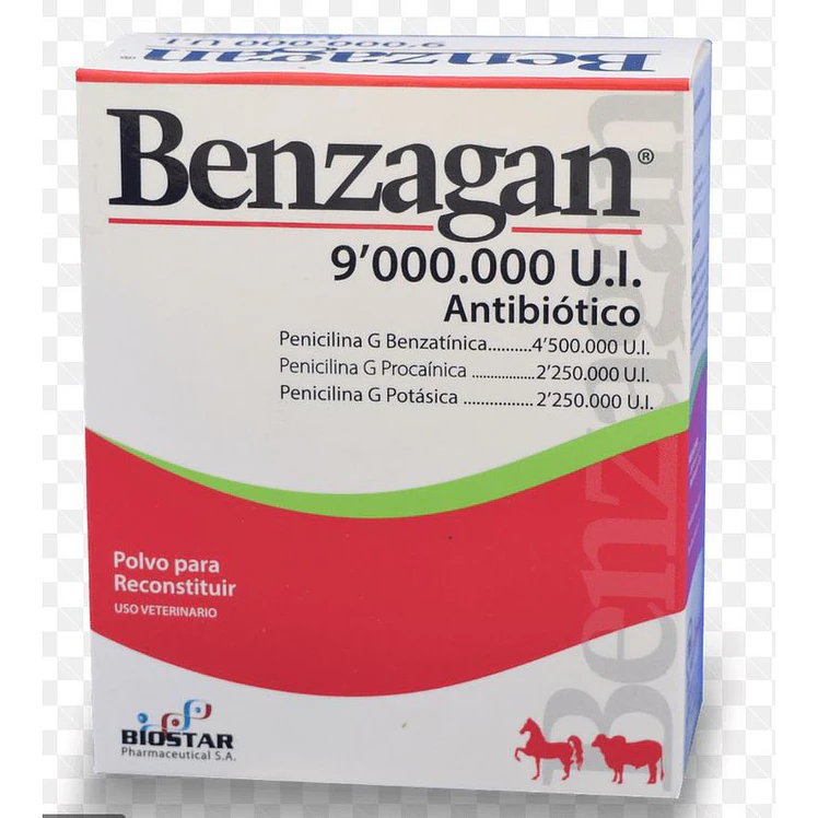 Benzagan Antibiotico Bovinos Equinos 9 M.U.I