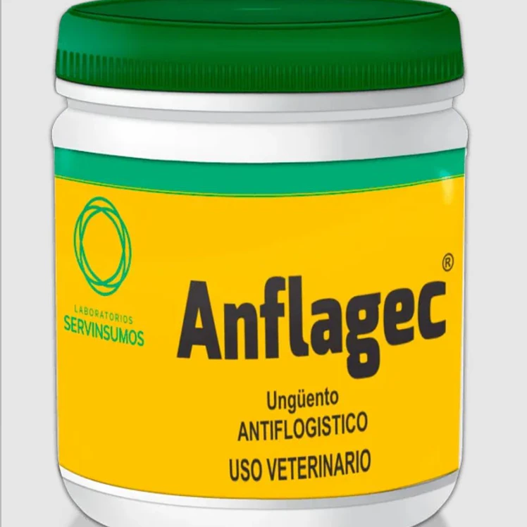 Anflagec Antiinflamatorio 100g