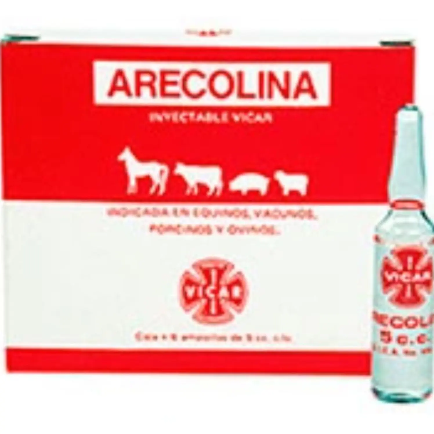 Arecolina x Ampolla 5ml