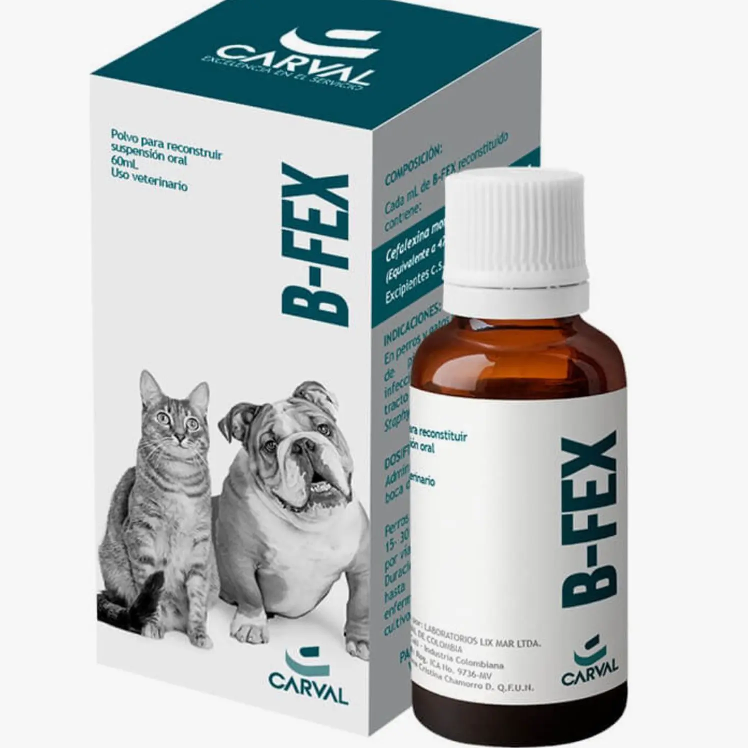 B-Fex Suspension Oral Fco x 60ml