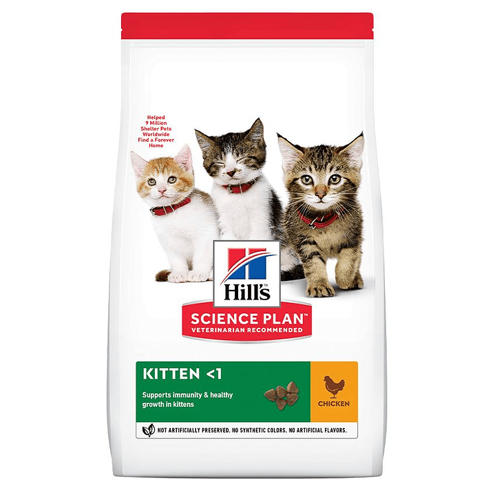 Hills Kitten Healthy Development Sano Crecimiento 3.5lb