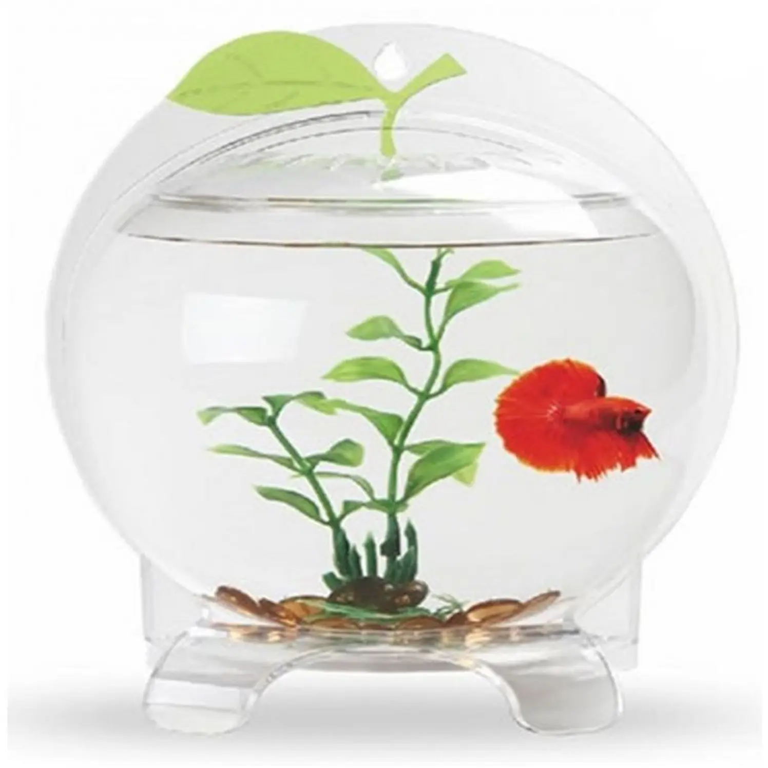 Betera Fancy AppIe Acuario Bettas Aquasyncro 1.8 Lt