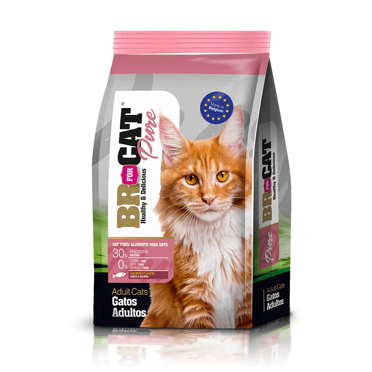 Br For Cat Gatos Adulto Salmon 1kg